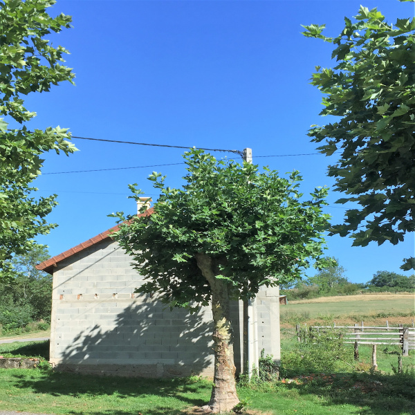Offres de vente Maison Arfeuilles 03120